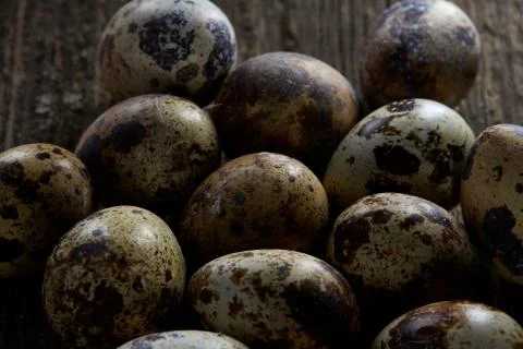Spotted quail eggs arranged on the background of old wooden boards, with copy Stock Photos