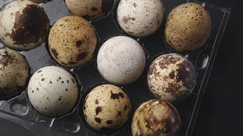 Spotted Quail Eggs in an egg box. Natural, Eco-friendly Eggs Stockbeeldmateriaal 181175702