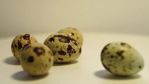 Spotted quail eggs on a light background, natural eco-friendly products. Stock Photos