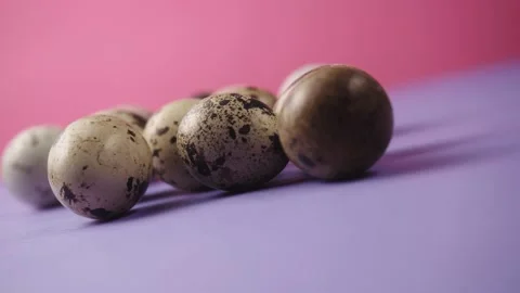 Spotted Quail Eggs on purple table pink background. Natural, Eco-friendly Eggs Stockbeeldmateriaal 181179719