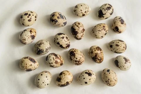 Spotted quail eggs, randomly on light fabric, photo from above Stock Photos
