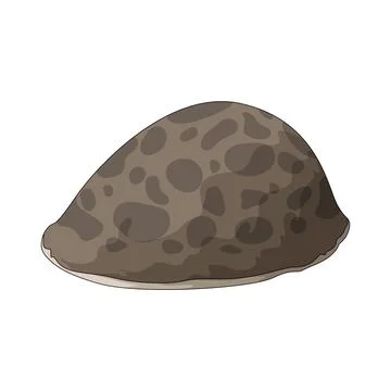 Spotted shell illustration Stock Illustration