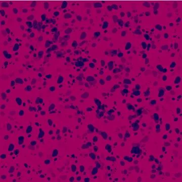 Spotted Texture pattern Stock Illustration