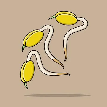 Spourts Stock Illustration