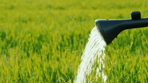 Spout with a diffuser sprinkler from which water flows to the green grass Video stock 107142304