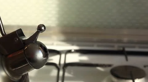 Spout of simmering kettle Stock Footage 16975400