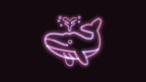 Spouting Whale Icon Neon Seamless Loop with Black Background 4K Stock Footage 311303473