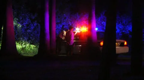 SPPD car Video stock 887684