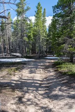 Sprague Lake Area Trail, Rocky Mountain National Park, Colorado, USA Stock-Fotos