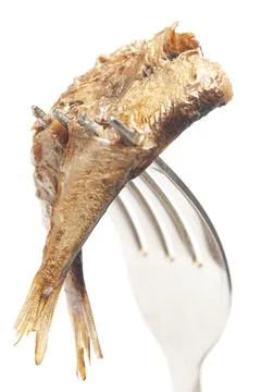 Sprats on a fork isolated on a white background Stock Photos