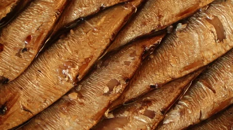 Sprats. Rotation. Stock Footage 55708722