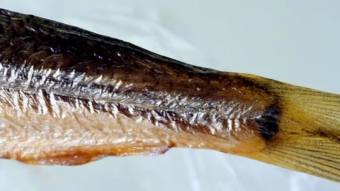 Sprats of small smoked fish, macro Stock Footage 123933821