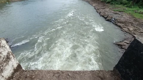 The sprawling river valley, a wet concrete bridge. Rushing white rapids Stock-Footage 343375304