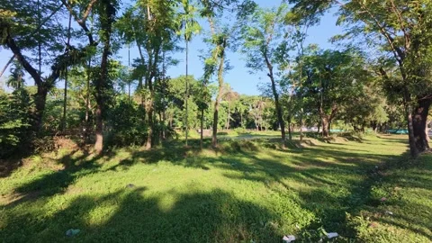 A sprawling scene of tranquility unfolds under a sunlit sky with lush greenery Stock Footage 322767138