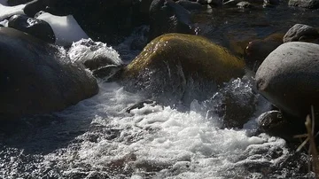 Spray and foam of fast flow of a mountain stream in slow motion Stock-Footage 85598450