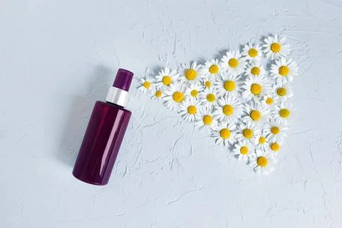 Spray bottle, chamomiles on gray background. Body mist, lotion, oil Stock Photos