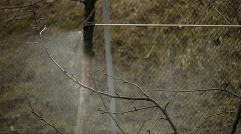 Spray bottle spraying water on tree branches outdoors Stock Photos