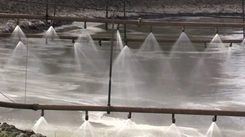 The Spray cooling system Stock Footage 36803571