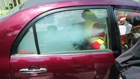 Spray disinfectant in the car Stock Footage 243624874