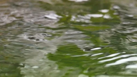 Spray from a drop of rainwater Stock Footage 115320415