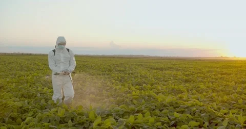 Spray ecological pesticide. Farmer fumigate in protective suit and mask Spraying Stock Footage