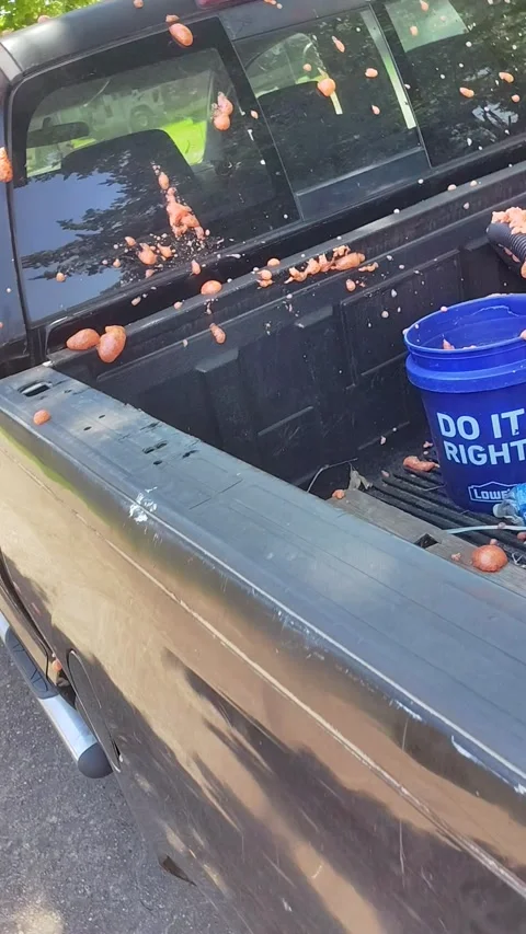 Spray Foam Exploded All Over Car, Houston, Texas, USA - 21 May 2025 Stock Footage 310274987