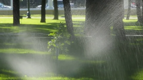 Spray 库存影片 78196623