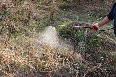 Spray herbicide Stock Photos