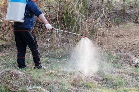 Spray herbicide Stock Photos