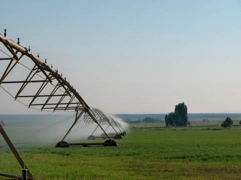 Spray irrigation Stock Photos