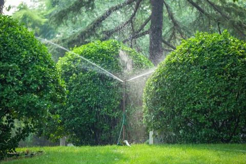 Spray irrigation Stock Photos