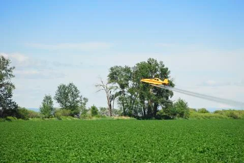 Spray Plane 스톡 사진