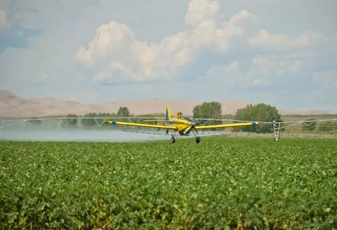 Spray Plane 스톡 사진