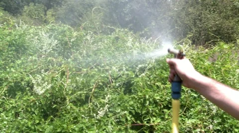 Spray Soaking the Garden Stock Footage 22395616