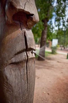Spray tree Stock Photos
