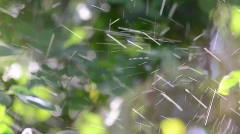 Spray water from a aspensor 1 Stock Footage 59439275