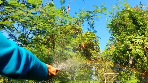 Spray water with a hose Stock-Footage 296667440