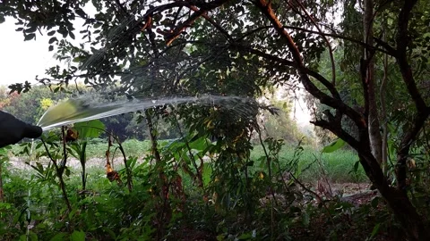 Spray water in a stream Stock Footage 262123446