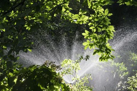 Spray watering Stock Photos