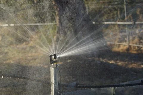 Spray Watering System Stock Photos
