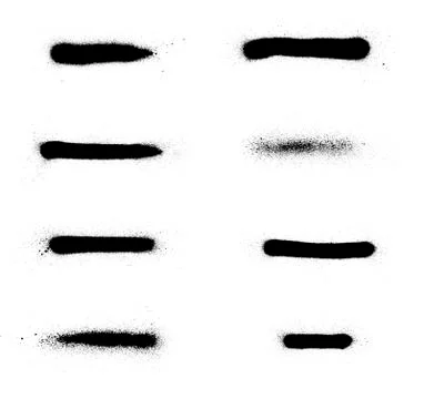 Sprayed graffiti lines collection in black over white Stock Illustration