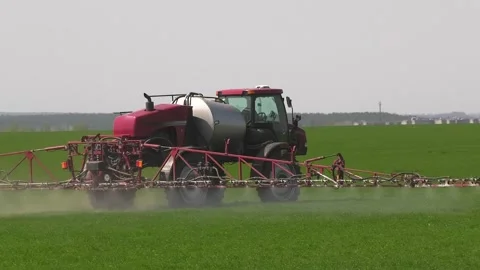 A sprayer drives through the field and processes winter wheat crops in spring. Stock Footage 302541198