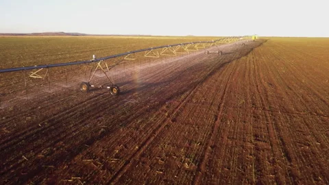 Sprayer in a field irrigating crops Stock Footage 327252198