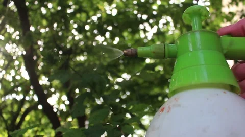 Sprayer. Hand Compressor. Vídeo Stock 50982239