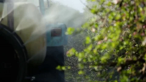 Sprayer sprays apple orchard Stock Footage 74563092