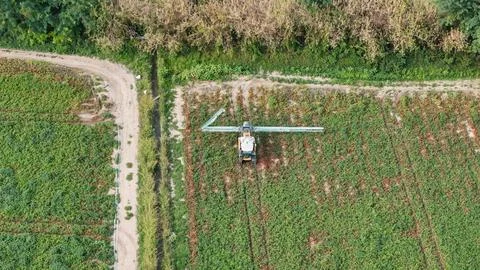Sprayer tractor applying protective treatment on lush green tomato field ro.. Stock Photos