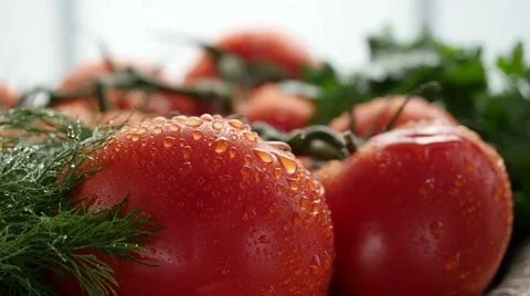 Spraying and Rotation Tomatoes Stock Footage 55493104