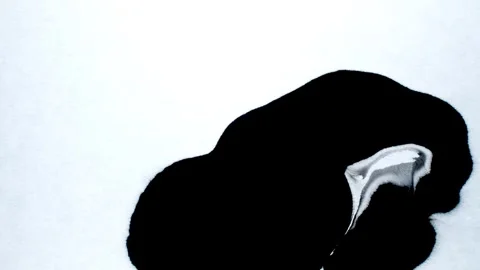Spraying black paint on a white background Stock Footage 303171593