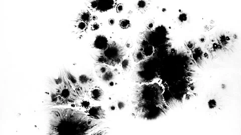Spraying black paint on a white background Stock Footage 303171594
