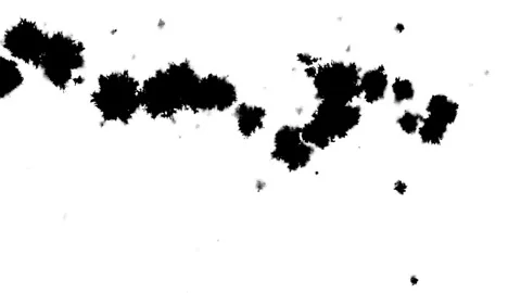 Spraying black paint on a white background Stock Footage 303171599